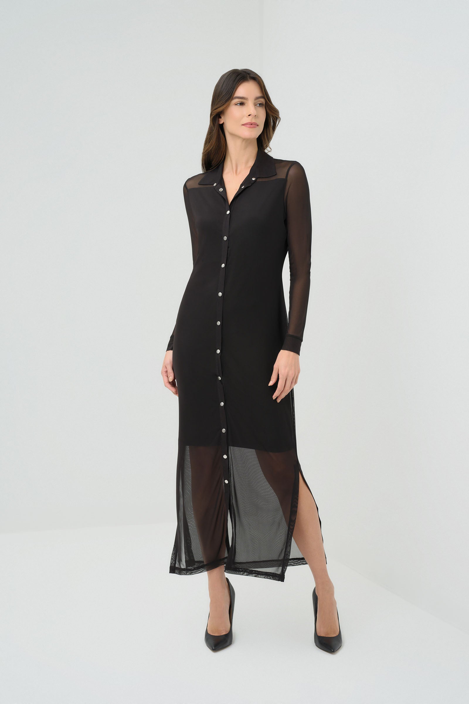 Colette Mesh Overlay Dress | ANATOMIE