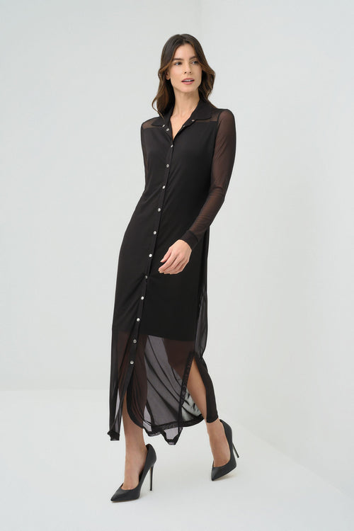 Colette Mesh Overlay Dress | ANATOMIE